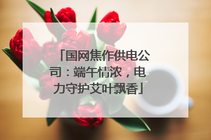 国网焦作供电公司：端午情浓，电力守护艾叶飘香