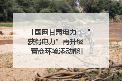 国网甘肃电力：“获得电力”再升级 营商环境添动能