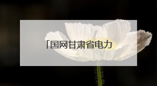 国网甘肃省电力公司：粽香迎端午 保电护安康