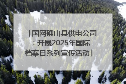 国网确山县供电公司：开展2025年国际档案日系列宣传活动