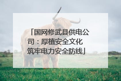 国网修武县供电公司：厚植安全文化 筑牢电力安全防线