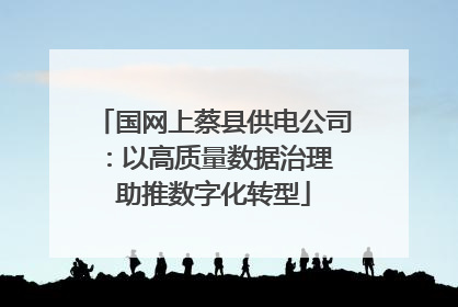 国网上蔡县供电公司：以高质量数据治理 助推数字化转型