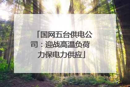 国网五台供电公司：迎战高温负荷 力保电力供应