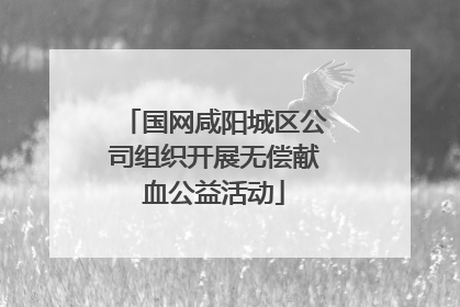 国网咸阳城区公司组织开展无偿献血公益活动