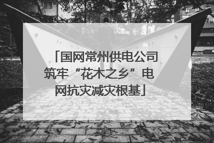 国网常州供电公司筑牢“花木之乡”电网抗灾减灾根基