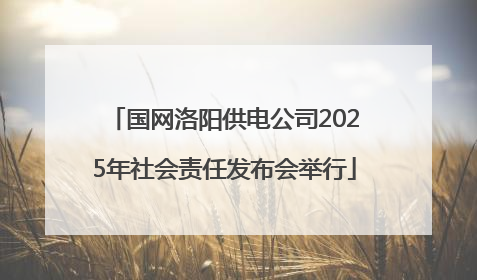 国网洛阳供电公司2025年社会责任发布会举行