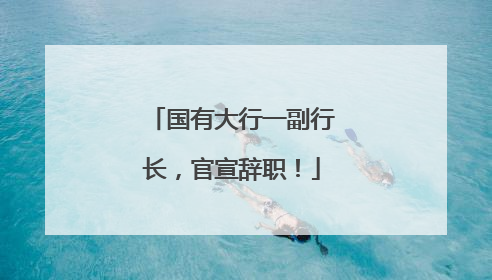 国有大行一副行长，官宣辞职！