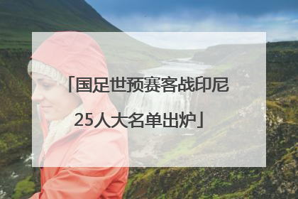 国足世预赛客战印尼25人大名单出炉