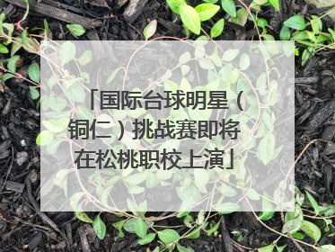 国际台球明星（铜仁）挑战赛即将在松桃职校上演