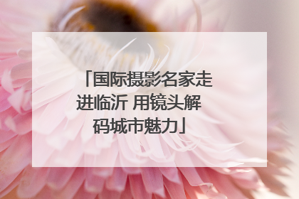 国际摄影名家走进临沂 用镜头解码城市魅力