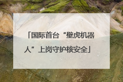 国际首台“壁虎机器人”上岗守护核安全