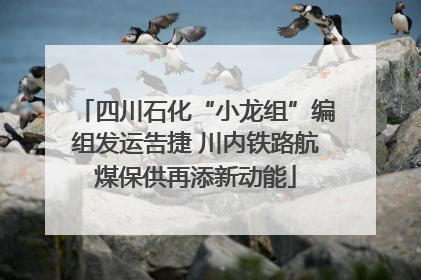 四川石化“小龙组”编组发运告捷 川内铁路航煤保供再添新动能