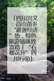 四川兴文：高山苗乡“避暑经济”热，特色旅游铺就致富路丨“石榴花开”四川行⑧