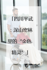 四川平武：深山密林里的“金色精灵”