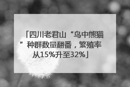 四川老君山“鸟中熊猫”种群数量翻番，繁殖率从15%升至32%
