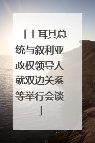 土耳其总统与叙利亚政权领导人就双边关系等举行会谈