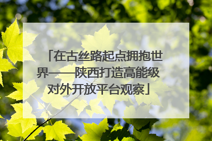 在古丝路起点拥抱世界——陕西打造高能级对外开放平台观察