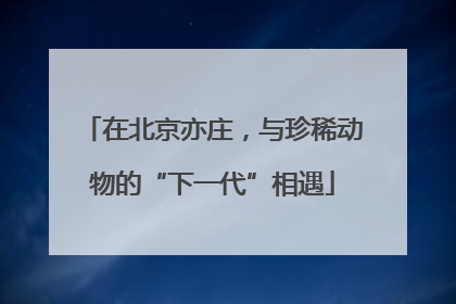在北京亦庄，与珍稀动物的“下一代”相遇