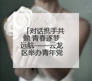 对话携手共勉 青春逐梦远航——云龙区举办青年党员“迎七一话成长挑大梁”交流活动