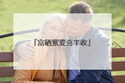 富硒紫麦喜丰收