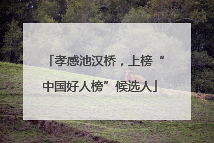 孝感池汉桥，上榜“中国好人榜”候选人
