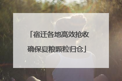 宿迁各地高效抢收 确保夏粮颗粒归仓