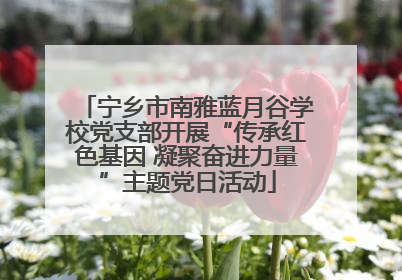 宁乡市南雅蓝月谷学校党支部开展“传承红色基因 凝聚奋进力量”主题党日活动