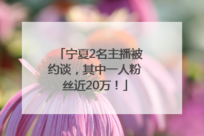 宁夏2名主播被约谈，其中一人粉丝近20万！