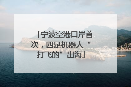 宁波空港口岸首次，四足机器人“打飞的”出海