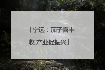 宁远：茄子喜丰收 产业促振兴