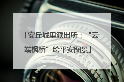 安丘城里派出所：“云端枫桥”绘平安图景