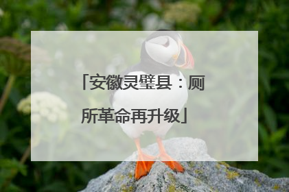 安徽灵璧县：厕所革命再升级