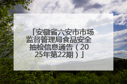 安徽省六安市市场监督管理局食品安全抽检信息通告（2025年第22期）