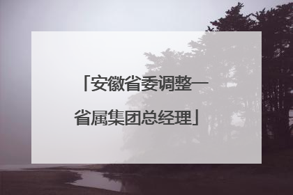 安徽省委调整一省属集团总经理