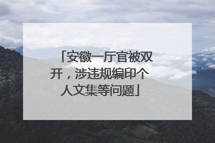安徽一厅官被双开，涉违规编印个人文集等问题