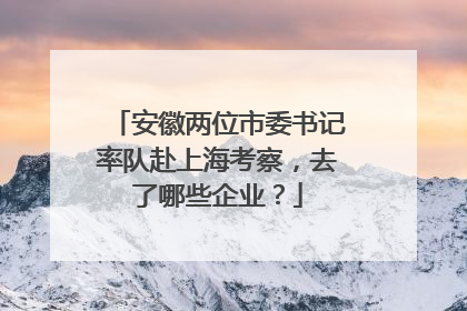 安徽两位市委书记率队赴上海考察，去了哪些企业？