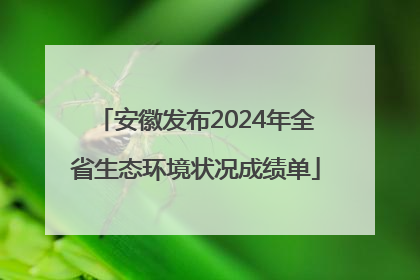 安徽发布2024年全省生态环境状况成绩单