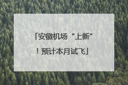 安徽机场“上新”！预计本月试飞