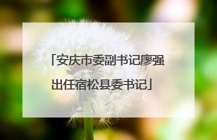 安庆市委副书记廖强出任宿松县委书记