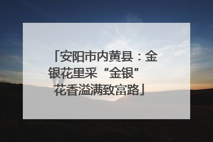 安阳市内黄县：金银花里采“金银” 花香溢满致富路