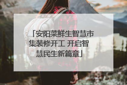 安阳菜鲜生智慧市集装修开工 开启智慧民生新篇章