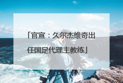 官宣：久尔杰维奇出任国足代理主教练