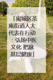 宛城区茶庵街道人大代表在行动：弘扬中医文化 把脉基层健康