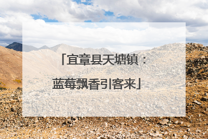 宜章县天塘镇：蓝莓飘香引客来