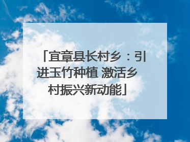 宜章县长村乡：引进玉竹种植 激活乡村振兴新动能
