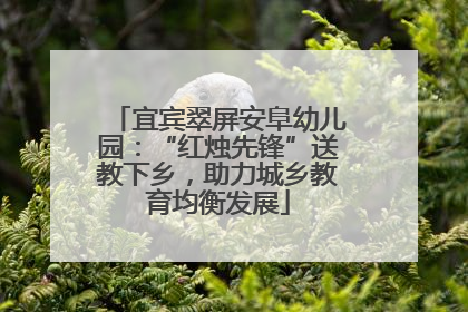 宜宾翠屏安阜幼儿园：“红烛先锋”送教下乡，助力城乡教育均衡发展