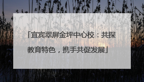 宜宾翠屏金坪中心校：共探教育特色，携手共促发展