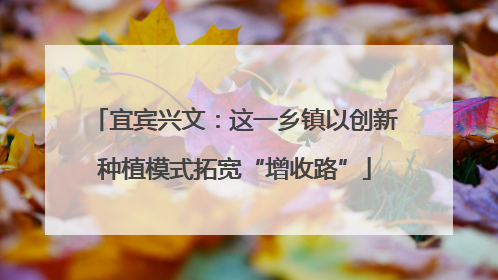 宜宾兴文：这一乡镇以创新种植模式拓宽“增收路”