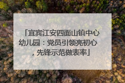宜宾江安四面山镇中心幼儿园：党员引领亮初心，先锋示范做表率