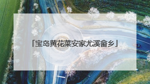 宝岛黄花菜安家尤溪畲乡